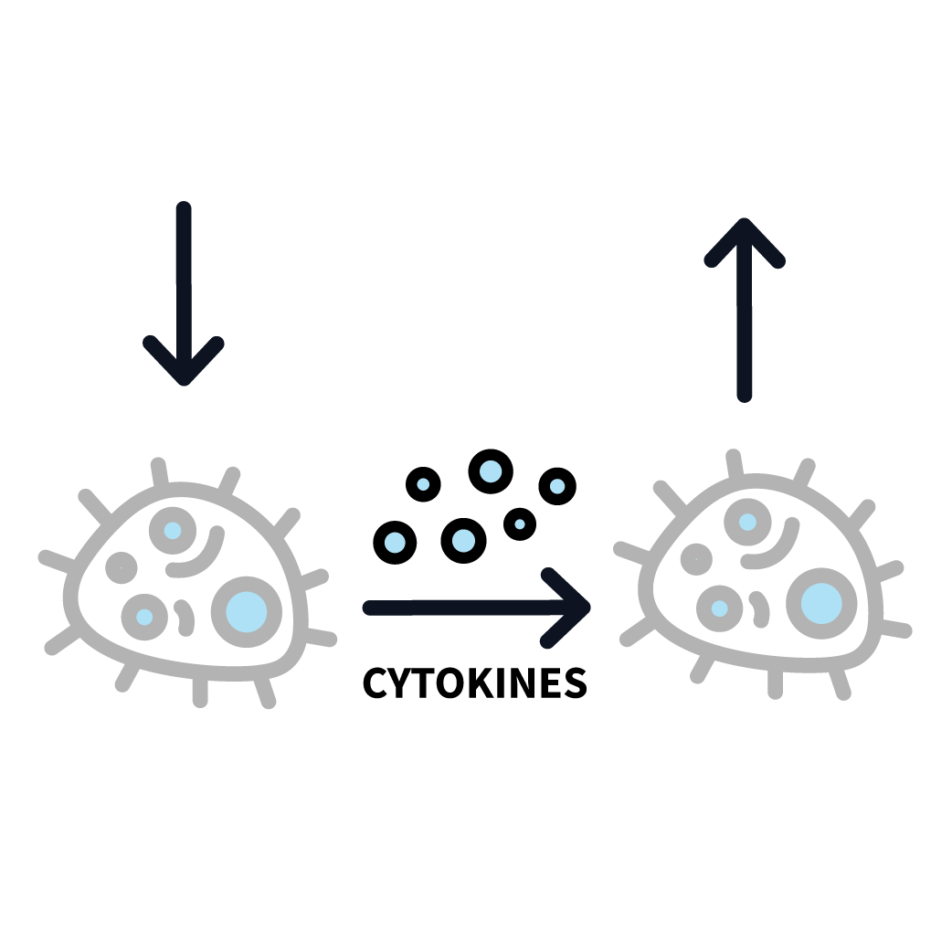 This is an image of a cytokine and how the process works.