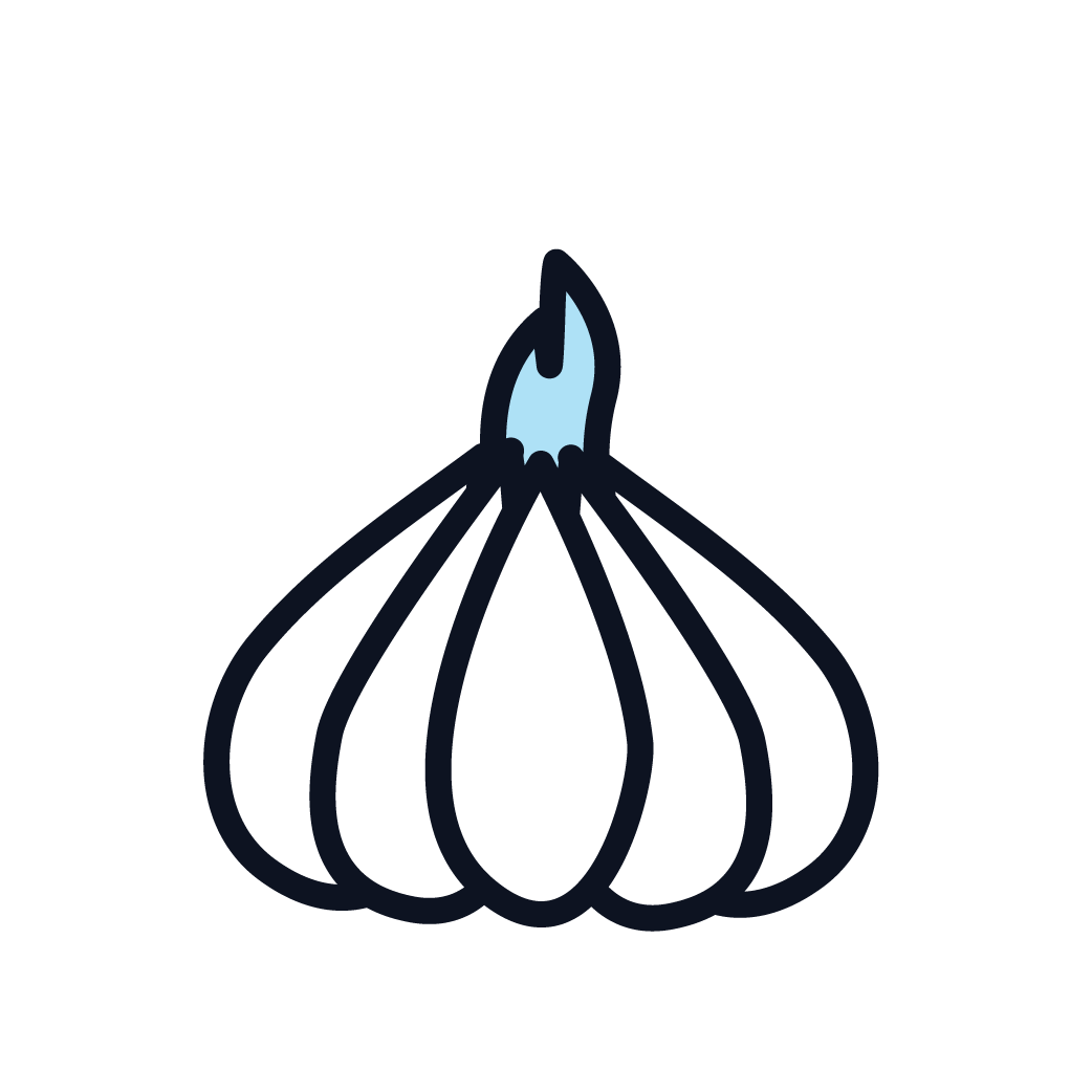 This is an icon representing garlic.