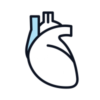 This is an outline of a heart with one artery colored blue