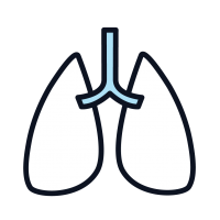 This is a drawn outline of lungs
