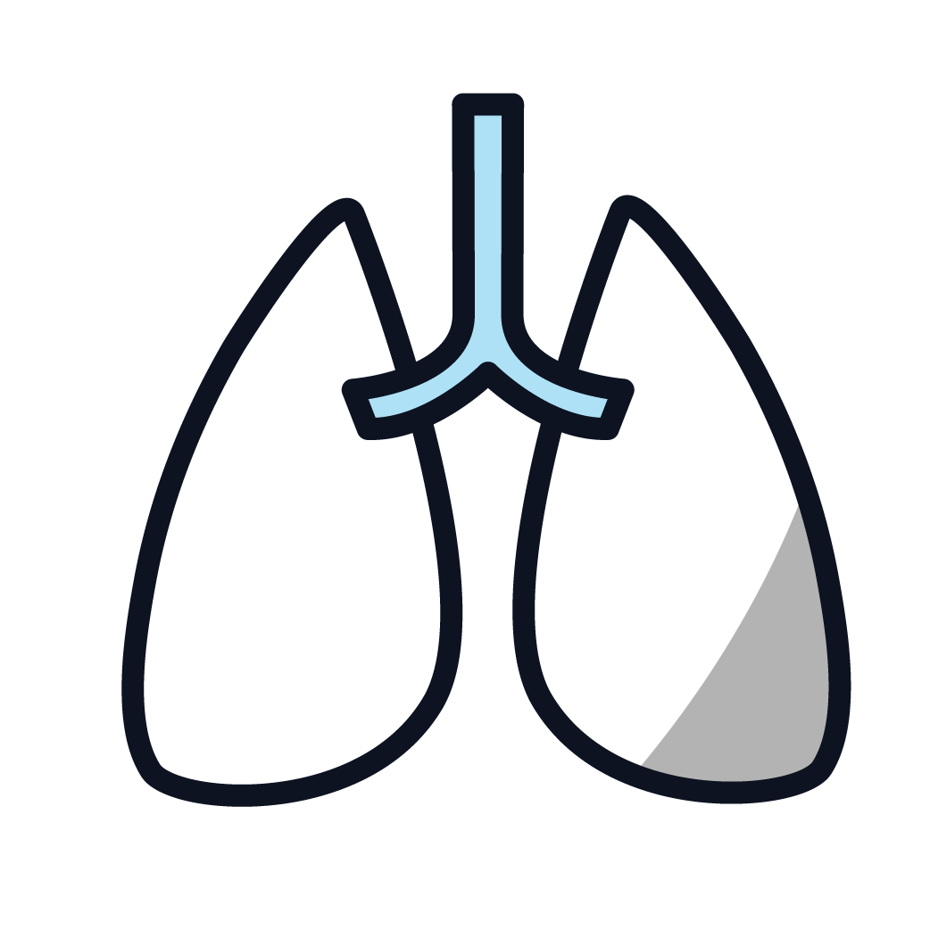 This is an icon representing lung cancer.