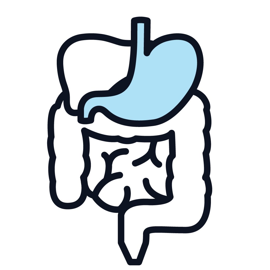 This is an icon representing stomach cancer.