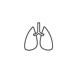 Body part - lungs