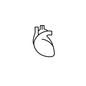 Icon of an body part - heart