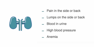 symptoms of metastasis to kidney