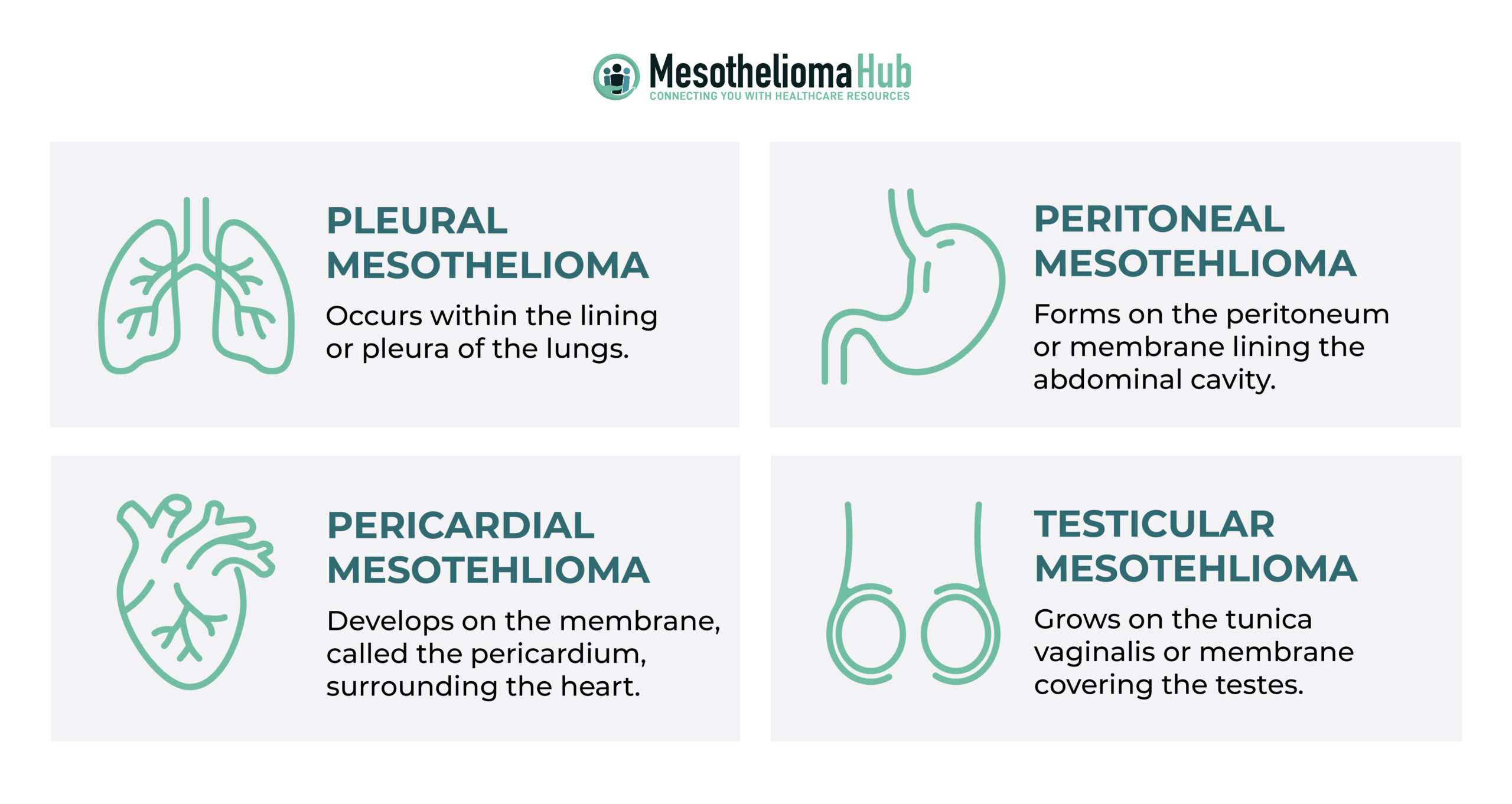 Four types of mesothelioma diagram: pleural mesothelioma, peritoneal mesothelioma, pericardial mesothelioma, and testicular mesothelioma